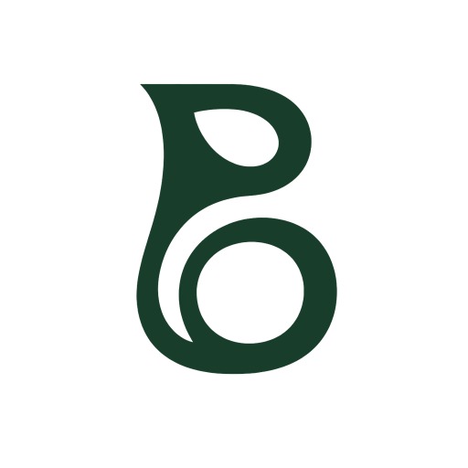 Bonsivo Logo